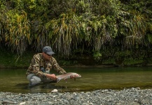 Fly-fishing Picture of Rainbow trout shared by Alexander Fahrion – Fly dreamers