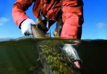 Marcus Ruoff 's Fly-fishing Image of a Atlantic salmon – Fly dreamers 
