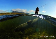 Marcus Ruoff 's Fly-fishing Pic of a Atlantic salmon – Fly dreamers 