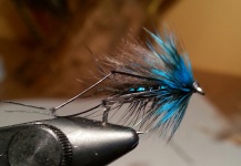 Some good blue lake flies, check out this post to get the tyings of these flies. http://peterdriver.blogspot.ie/2013/10/blue-lake-flies.html  