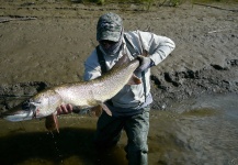 Norbert Renaud 's Fly-fishing Catch of a Pike – Fly dreamers 