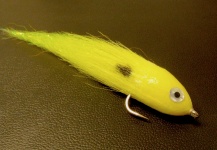 Fly-tying for Blue Wolf Fish - Pic shared by Marcelo Morales – Fly dreamers 