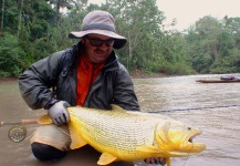 Fly-fishing Image of Golden Dorado shared by Marcelo Morales – Fly dreamers