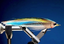 Marcelo Morales 's Fly-tying for Piranha - Photo – Fly dreamers 