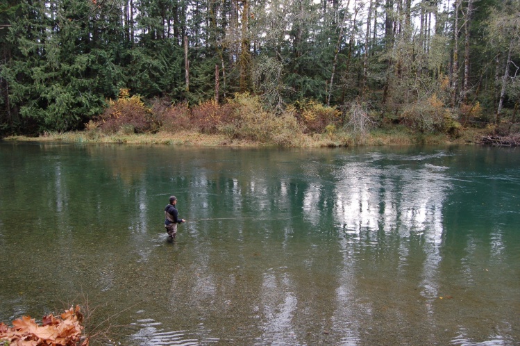 Dry Fly time on the Cowichan
Holywaters.ca
