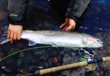 Speyco reel in the field