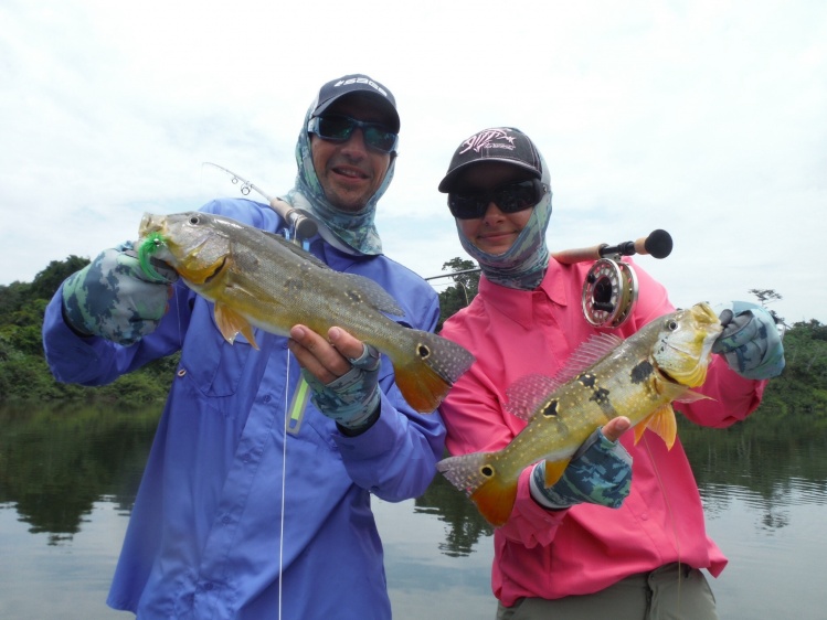 At Ecolodge da Barra, between Amazonas,Pará and Mato Grosso.
Juruena river.
Angler Ju Parelli
Fly 8# tipet 20lb
Double Yellow Peacock Bass, about 3lb