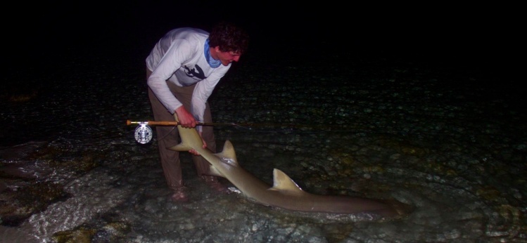 Sightfishing for sharks at night in calm seas a white flat and full moon... Unreal night.