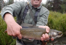 Fly-fishing Picture of Brook trout shared by Ty Ferguson – Fly dreamers