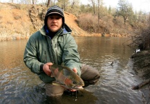 Fly-fishing Picture of Steelhead shared by Ty Ferguson – Fly dreamers