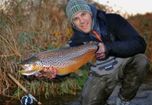 A little fall brown action