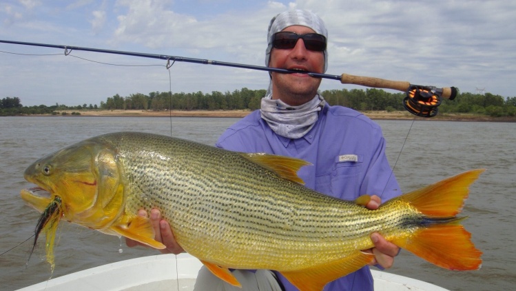 At LaZona Lodge, Entrerios, Argentina fly #10 tipet 20lb
24lb Golden Dorado