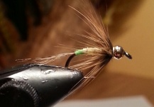 http://peterdriver.blogspot.ie/2013/11/a-few-weighted-wet-flys-worth-having-in.html
