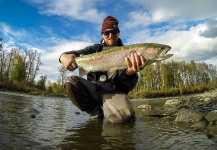 Andrew Hardingham 's Fly-fishing Picture of a Steelhead – Fly dreamers 