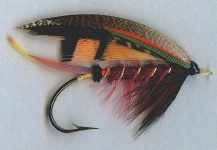 Fly for Atlantic salmon - Image by Mike Boyer – Fly dreamers 