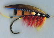 Mike Boyer 's Fly for Atlantic salmon -  Photo – Fly dreamers 