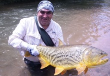 Roberto Rivero Ogast 's Fly-fishing Catch of a Golden Dorado – Fly dreamers 