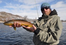 Fly-fishing Picture of Brown trout shared by Ty Ferguson – Fly dreamers