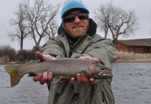 Ty Ferguson 's Fly-fishing Catch of a Rainbow trout – Fly dreamers 