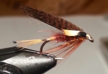 Fiery Brown fly and bumble great for trout on the lakes 