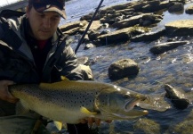 Little Wisconsin Brown trout for you  