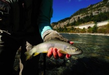  Mira esta fotografía de Pesca con Mosca de Cathy Beck – Fly dreamers