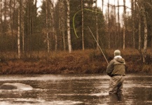 Brown trout Fly-fishing Situation – LeGrille FlyFishing shared this () Image in Fly dreamers 