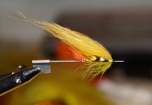 LeGrille FlyFishing 's Fly-tying for Atlantic salmon - Photo – Fly dreamers 