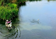 Sweet Fly-fishing Situation of Rainbow trout shared by Cathy Beck 