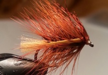 A blog post on dressings for Fiery Brown lough Flies 