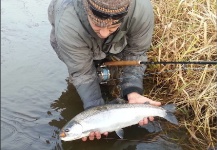  Imagen de Pesca con Mosca de Steelhead compartida por Spey Co Fly Reels – Fly dreamers