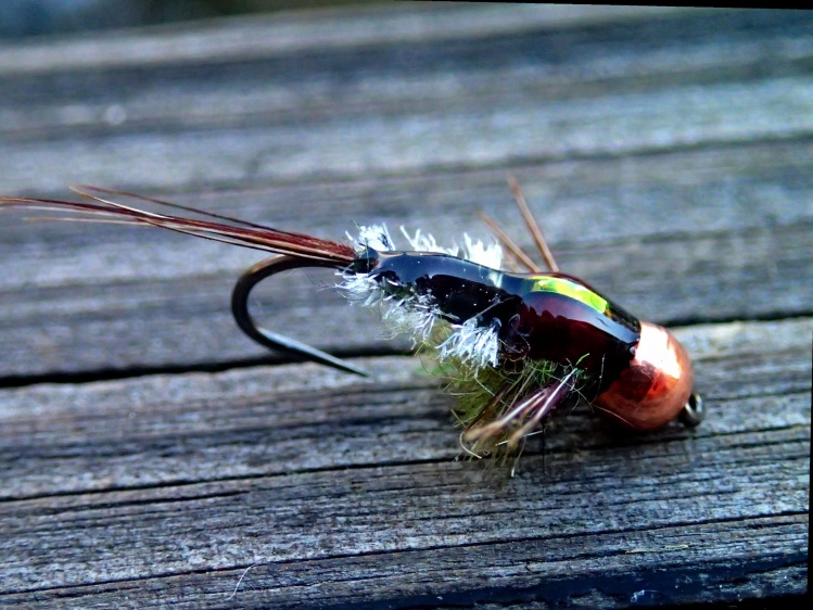 Epoxy back gilled nymph.