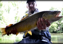 Nicolas Duquerroy 's Fly-fishing Image of a Brown trout – Fly dreamers 