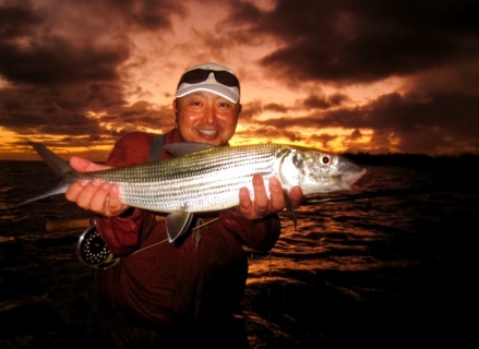  It's Just it's hard to look past the great fish ,,, WOW! Island sunsets are the best 