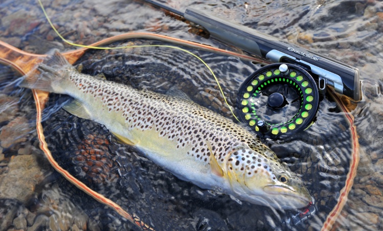 arctic silver fly fishing