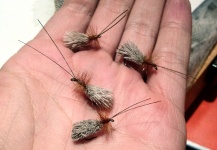 Great Fly-tying Photo shared by Francisco Villa – Fly dreamers 