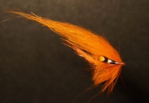 Fly Photo shared by LeGrille FlyFishing – Fly dreamers 