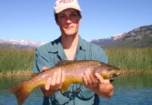 Nicolas  Werning 's Fly-fishing Image of a Brown trout – Fly dreamers 