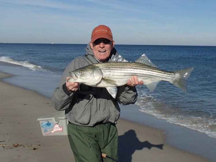 Nice fat fall striped bass, they were spraying sand eels as they boiled in the wash.  I took this fish on a big herring fly.....wanted a meal for sure