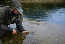 Rainbow trout Fly-fishing Situation – Max Ignacio Segura Safian shared this Cool Pic in Fly dreamers 