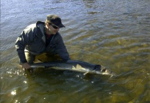 Wisco Sturgeon 