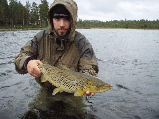 Lake Run Browntrout,