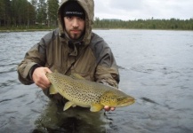 Fly-fishing Pic of Brown trout shared by LeGrille FlyFishing – Fly dreamers 