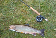 Fernando Montes 's Fly-fishing Image of a Brook trout – Fly dreamers 