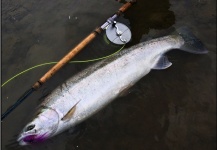 Spey Co Fly Reels 's Fly-fishing Picture of a Steelhead – Fly dreamers 
