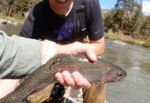 Ty Ferguson 's Fly-fishing Picture of a Rainbow trout – Fly dreamers 