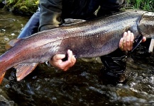 Jan Haman 's Fly-fishing Picture of a Taimen – Fly dreamers 