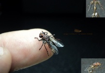 Sweet Fly-tying Photo by Sergio Córdoba 