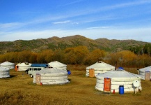 Mongolian Summer