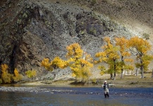 Mongolian Summer